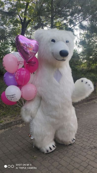 Привітання від ведмедика Аніматори Мішка Мишка поздравление Запорожье