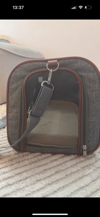 Transporter do psa