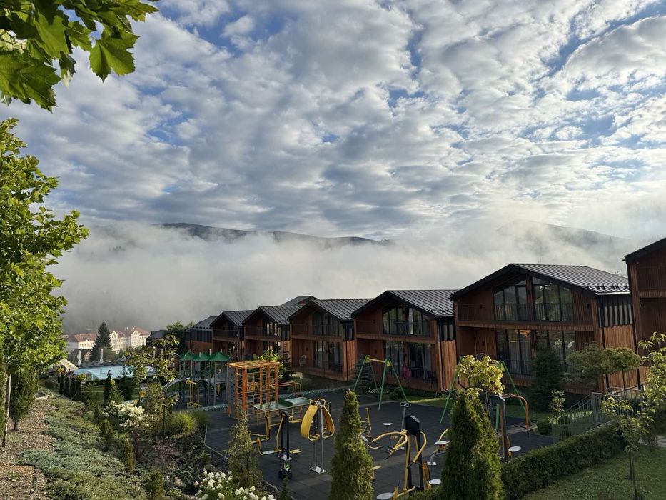 Phoenix Фенікс Буковель котедж-ефективна інвестиція!