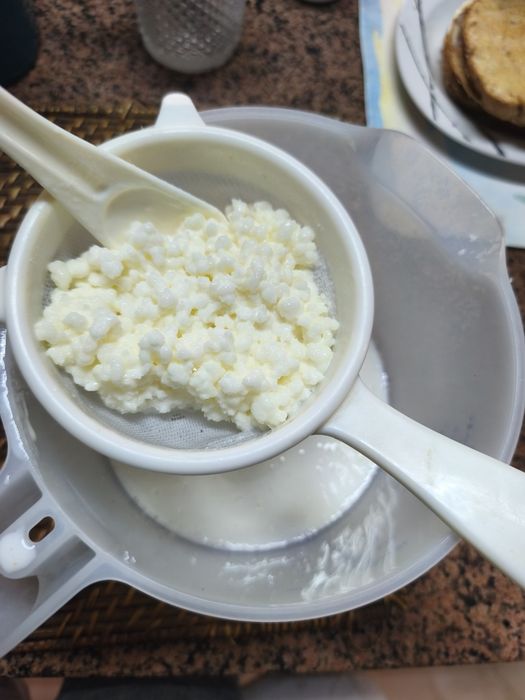 Ofereço Kefir de leite