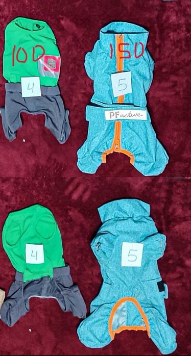 Одяг для маленьких собак