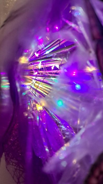 Букет з метеликів