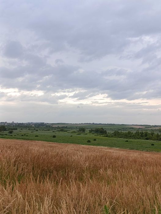 Продаж земельної ділянки 4 га | с. Ситихів, Львівська область.