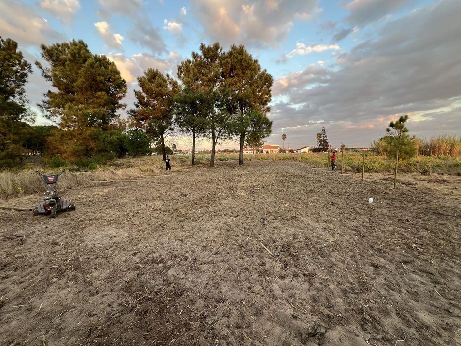 Limpeza de Terrenos LOW COST