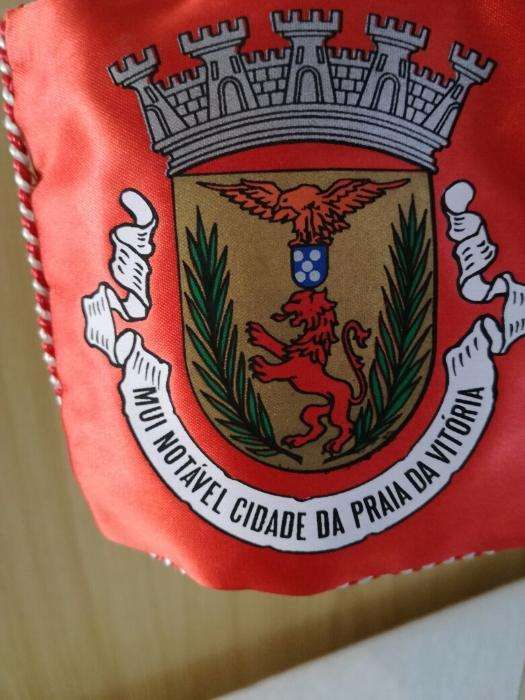 Bandeiras estandarte Seixal e Cidade da Horta