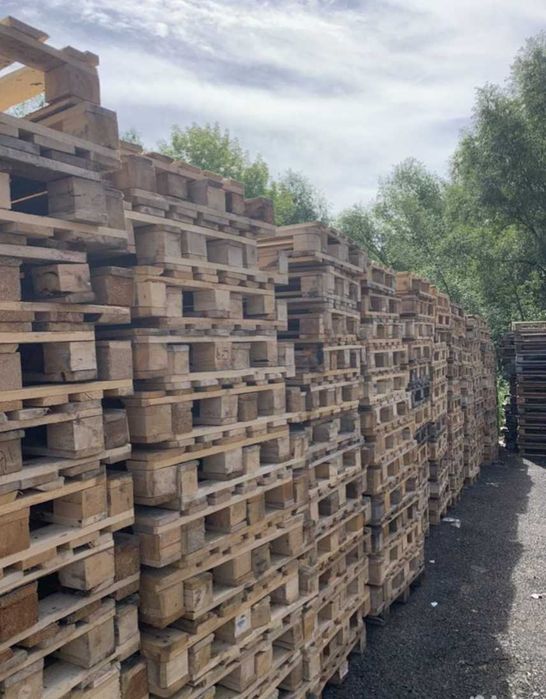 Піддони б.в поддоны/палети/европіддони/евростандарт