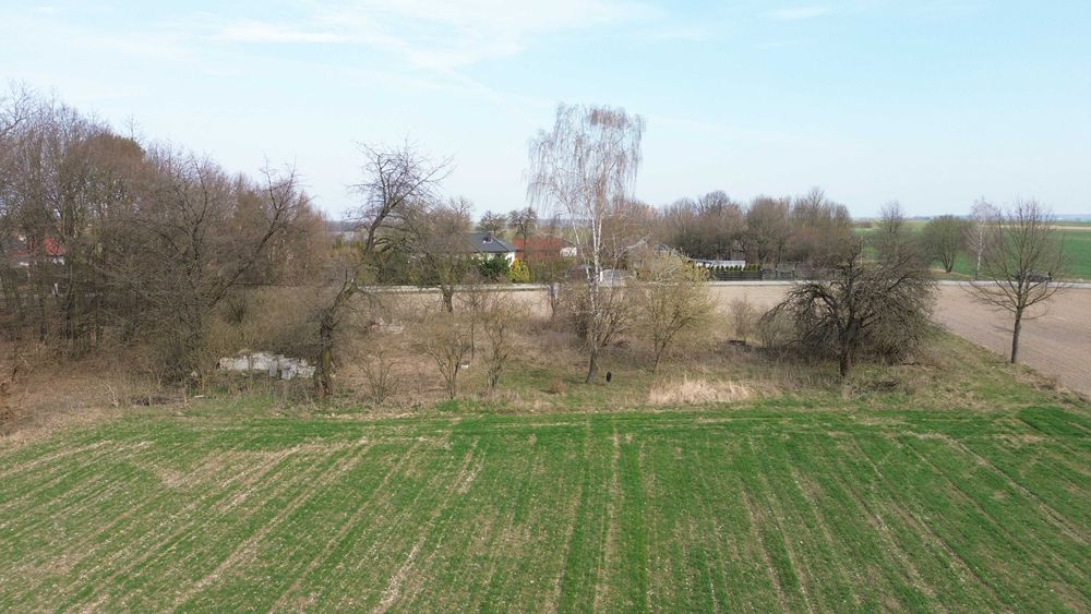 Łęczyca działka siedliskowa o powierzchni 4861 m²