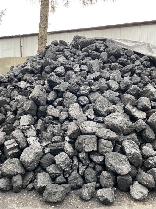 Polski Gruby Węgiel Kostka Mysłowice Wesoła