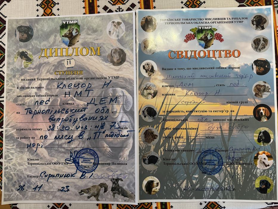 Пропоную Ягдтерєра для вʼязки