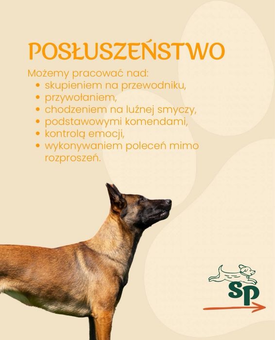 Zajecia dla psów i ich przewodników