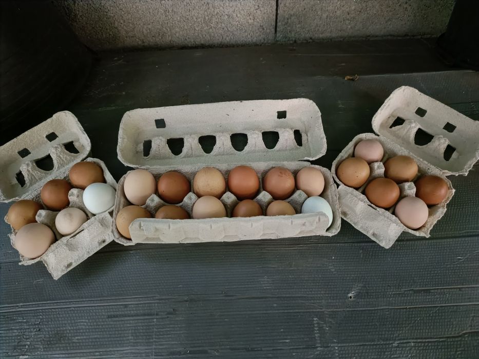 Ovos    Caseiros