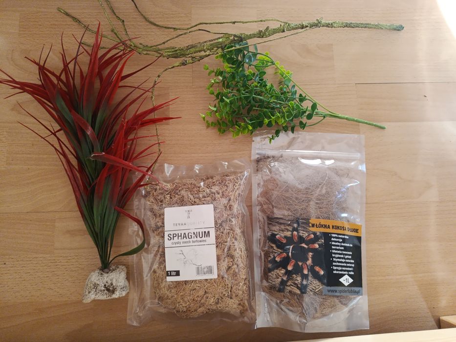 Detaling do terrarium mix