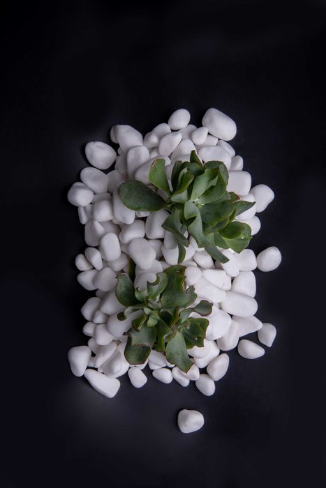 Kamień Ogrodowy Thassos Otoczak Biały 1-3cm 2-4cm 3-6cm 4-8cm 8-13cm