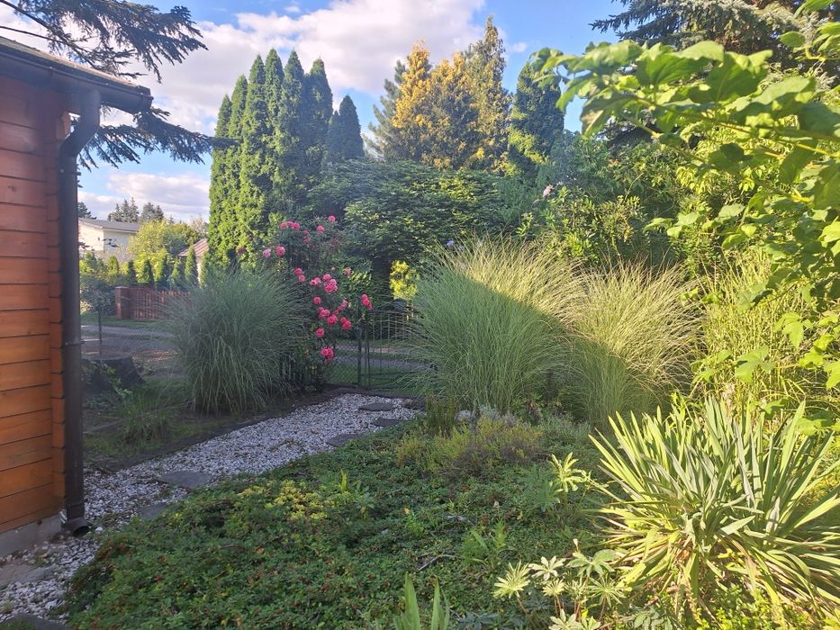 Działka  na ROD im.  Żalińskiego w Jaryszkach 448m2