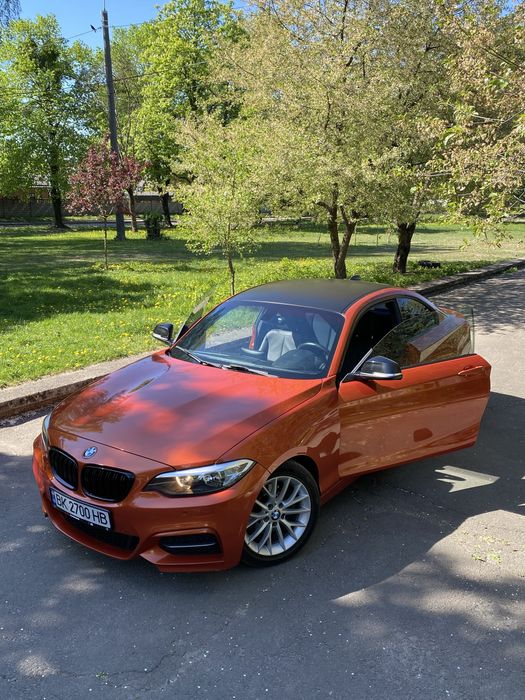 BMW 2 Series 2014 VIN WBA1F5C52EVV99689 фото оголошення 4 з 13