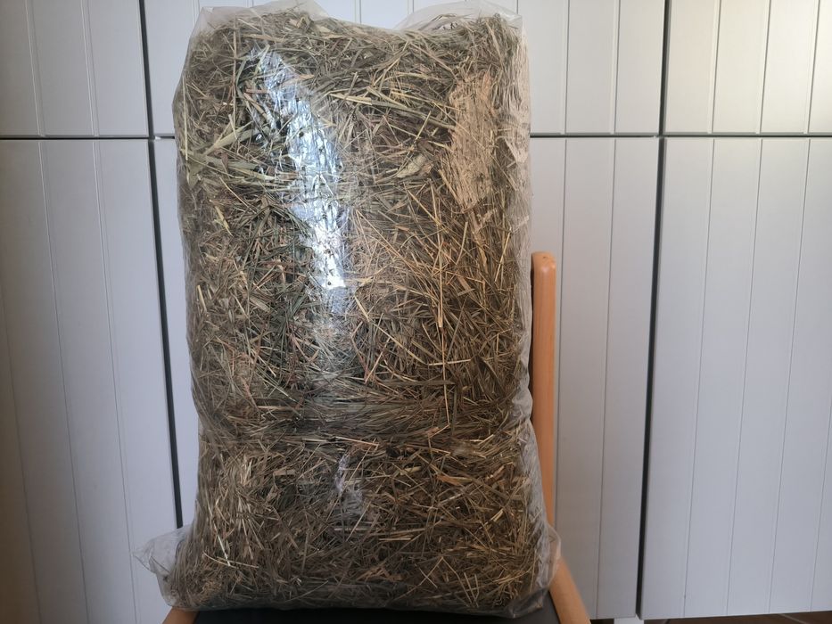 Siano 1 kg dla królika   świnki  łąkowe