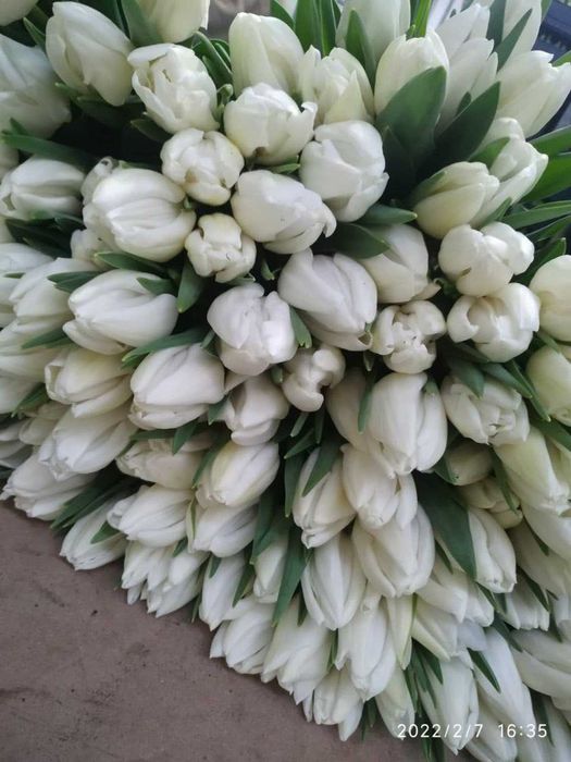 100кг- 50грн/кг, від 500 до 1т - 40 грн,від тонни по 30 грн