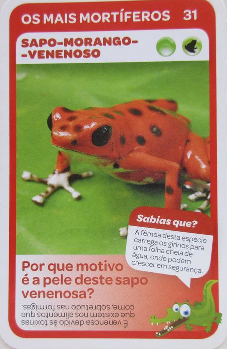 Super Animais 1 - - - Cromos - Cartas Soltas Pingo Doce - - - - Cromos