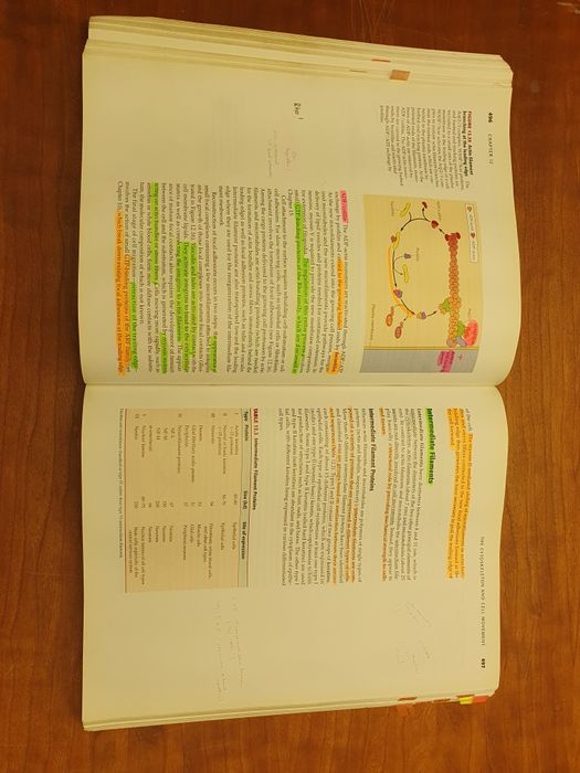 The cell - a Molecular approach