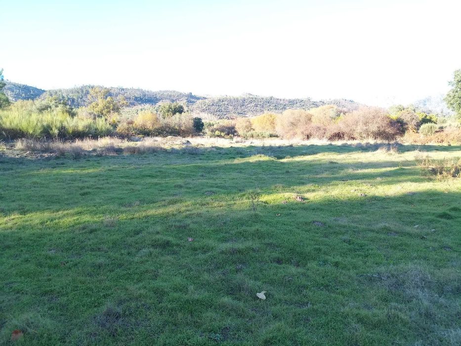 Terreno de 1,3 Ha com Ribeiro e Viabilidade de Construção