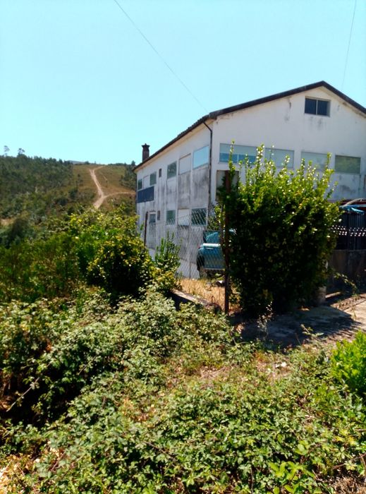 Edifício com 250m2 3pisos 750m2