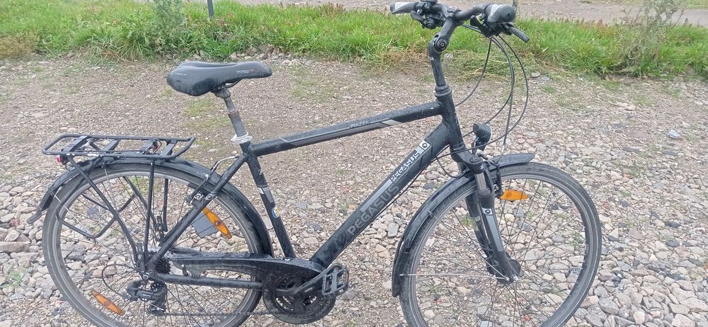 Pegasus Piazza 28 cali