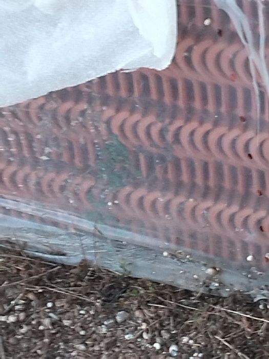 Telha Lusa aprox 240 telhas