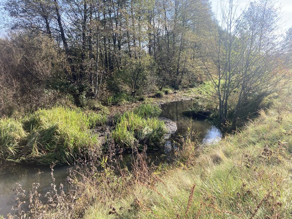 Продаж земельної ділянки  біля озера  с. Лелехівка