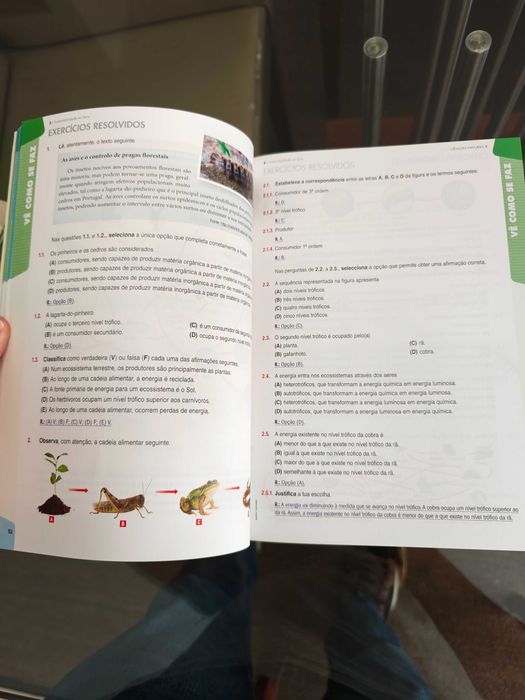 Preparar testes 8⁰ ano Ciências Naturais