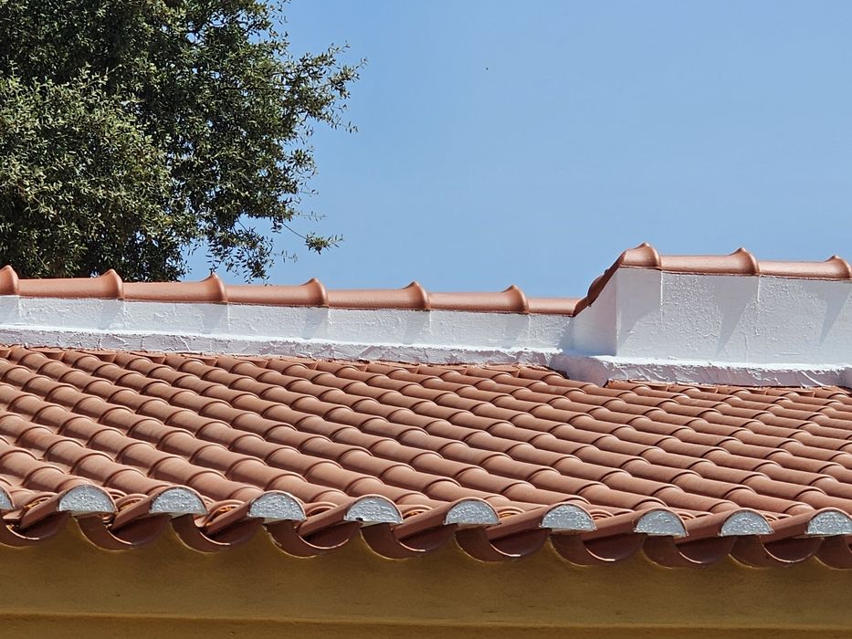 Limpeza de Telhados+Hidrofugação/Limp.Pavimentos/Pinturas/Canalização,