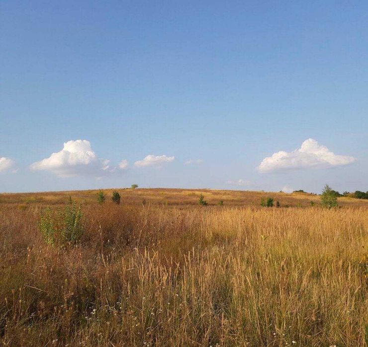 Лісники, ділянка 10 сот, садівництво.