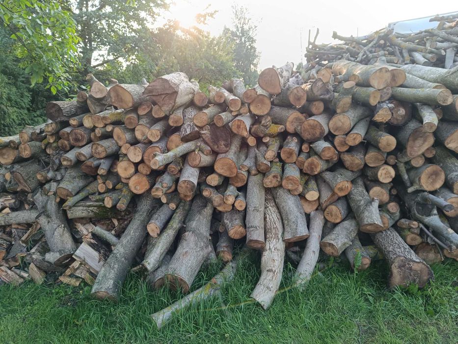 Sprzedam drewno opałowe orzech
