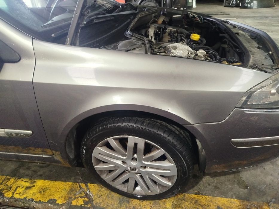 Guarda-lamas direito RENAULT Laguna II (BG0/1_)