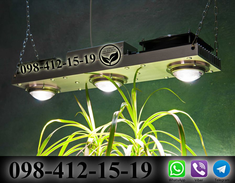 100% CREE USA фитолампа фито лампа для растений гроубокс теплица LED