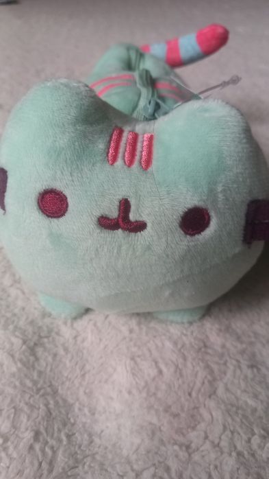 Piórnik Pusheen z Pusheenem kotek kot
