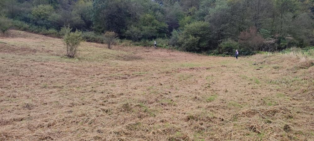 Działka 50 arów, Krempna