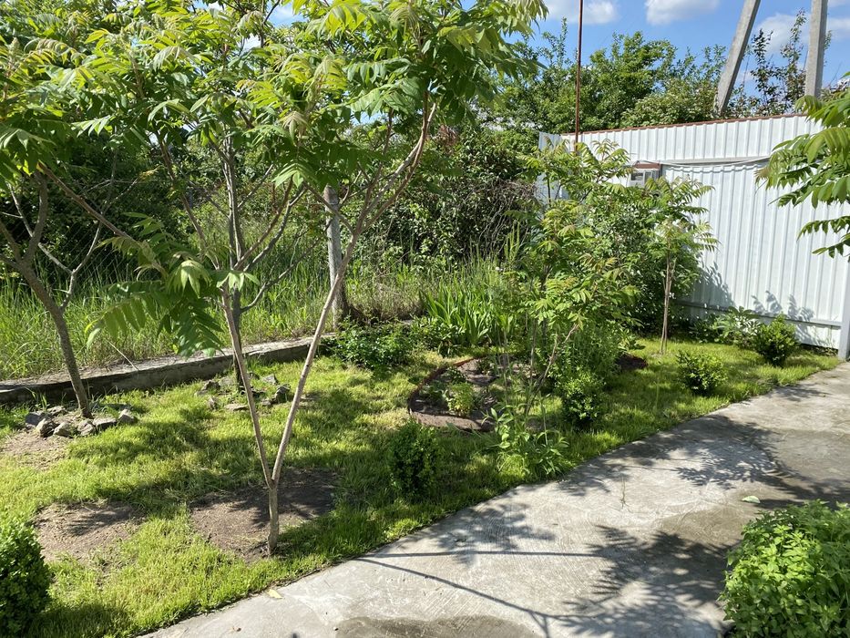 Продам будинок із дикого зрубу з ділянкою біля Києва! село Бзів