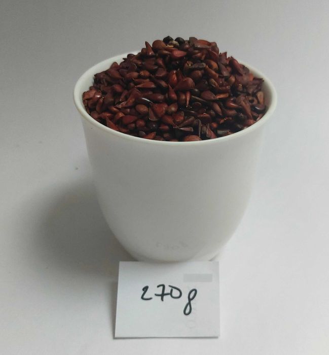 pestki pigwowca na nalewkę 270 g