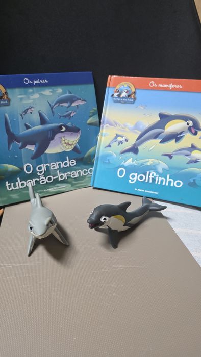 Livros com figuras