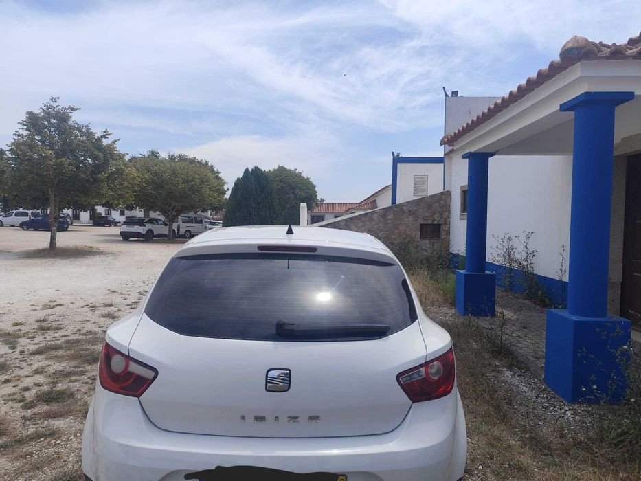Seat Ibiza 2010 comercial