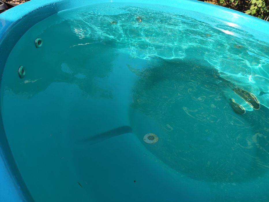 Sprzedam balię ogrodową