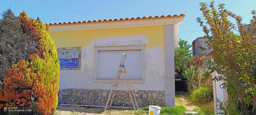 Pintor profissional