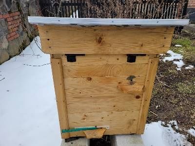 Продається пасіка,Бджолосім'ї на українську рамку