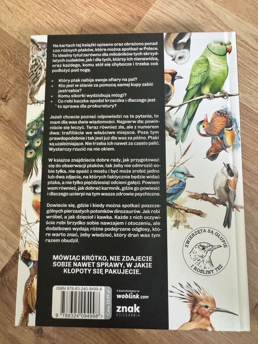 Głupie ptaki Polski książka nowa
