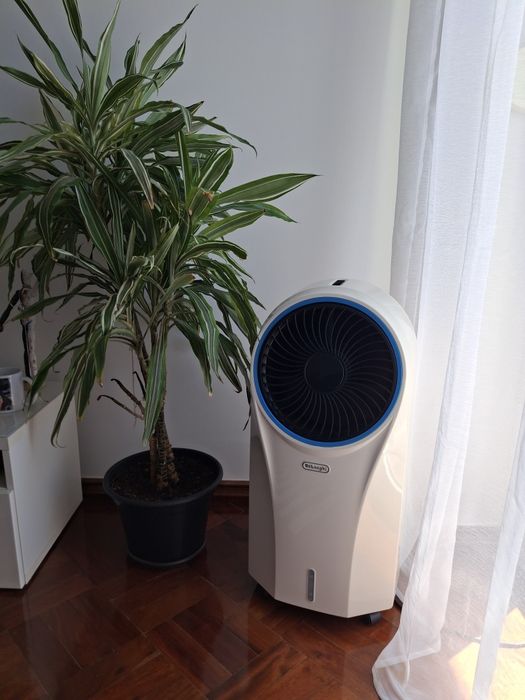 Climatizador evaporizador Delonghi EV250.WH