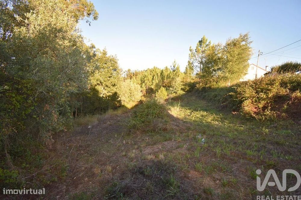 Terreno para construção em Pelariga