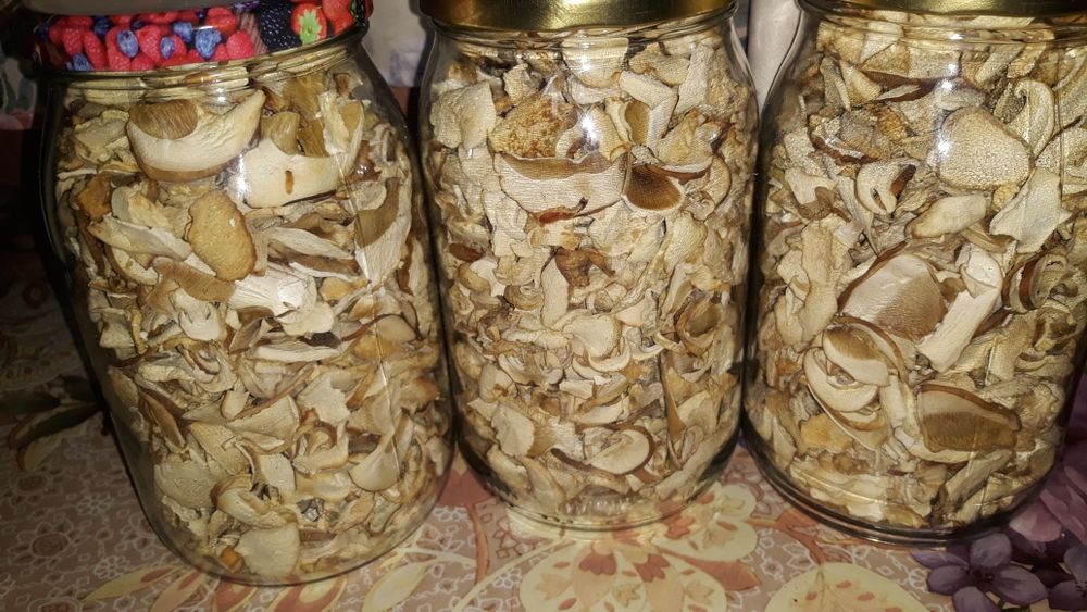 Borowik suszony EXTRA