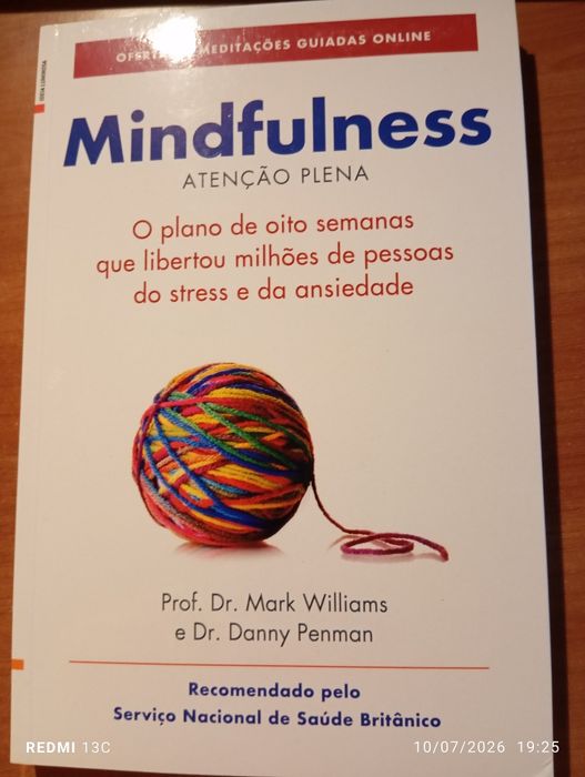 Mindfulness, atenção plena