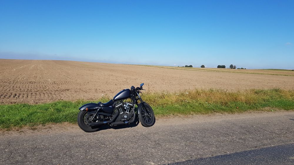 Harley Davidson Iron Sportster
