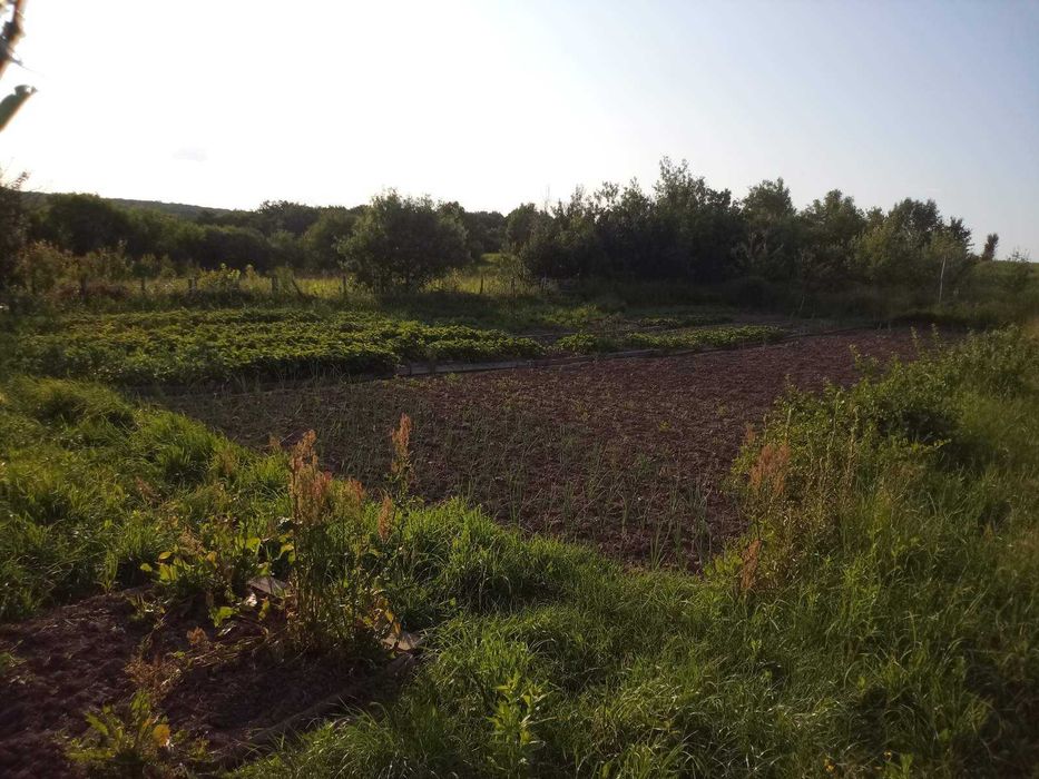 Будинок-господарство з пасікою в Кам'янець-Подільському р-ні